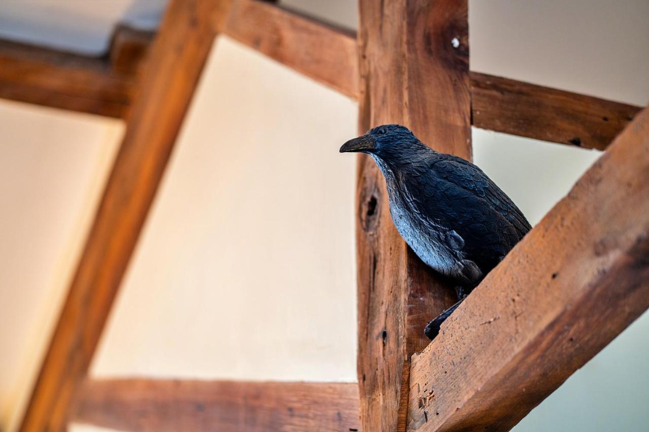 Finest Retreats - Valley View Camelford Bagian luar foto